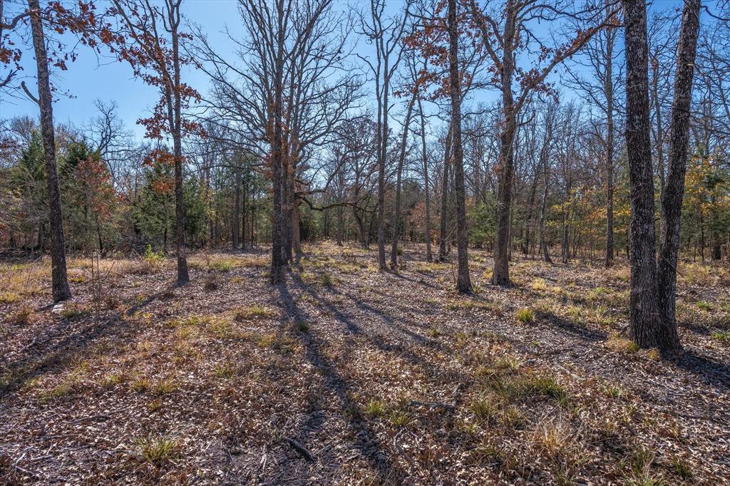 1909 Vz County Road 2403 Property Photo 4
