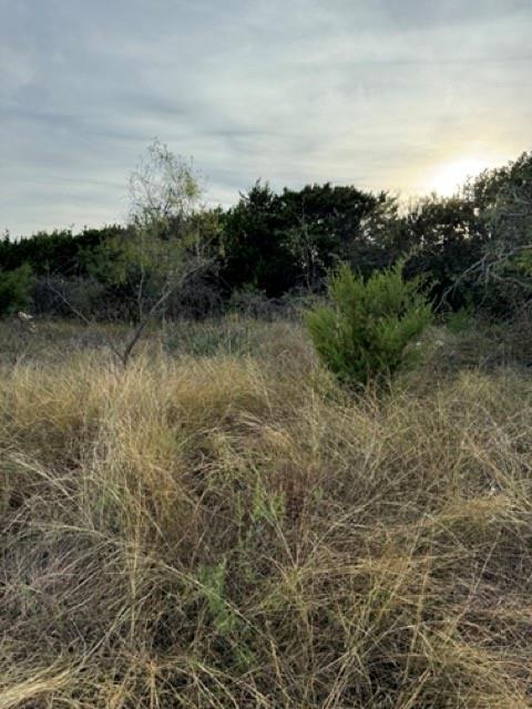 22241 Breezy Meadow Drive Property Photo 4
