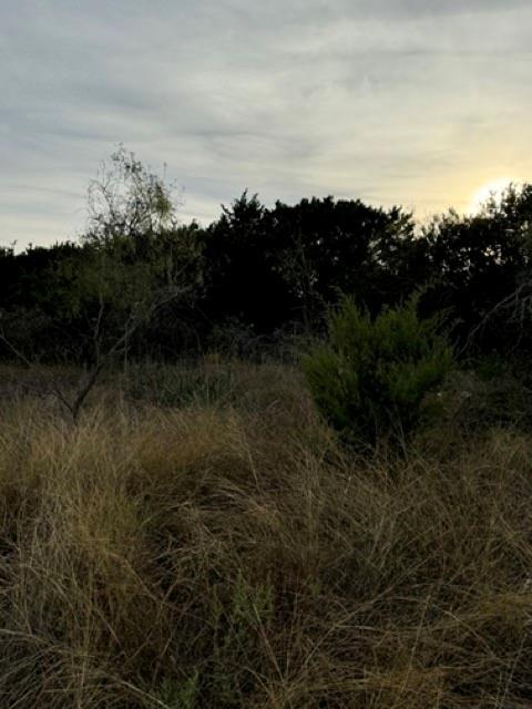 22241 Breezy Meadow Drive Property Photo 5