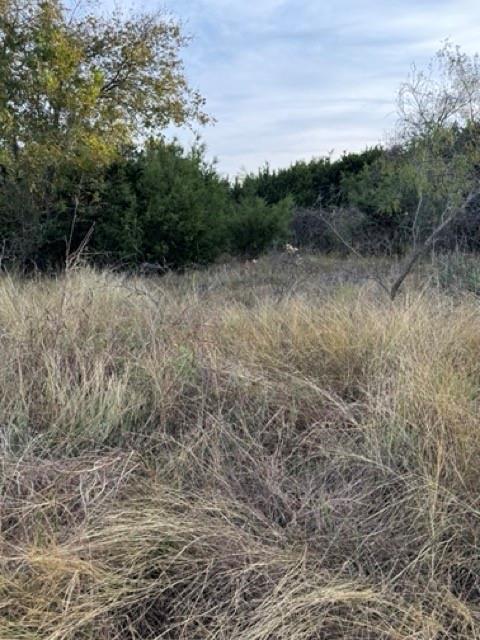22241 Breezy Meadow Drive Property Photo 7