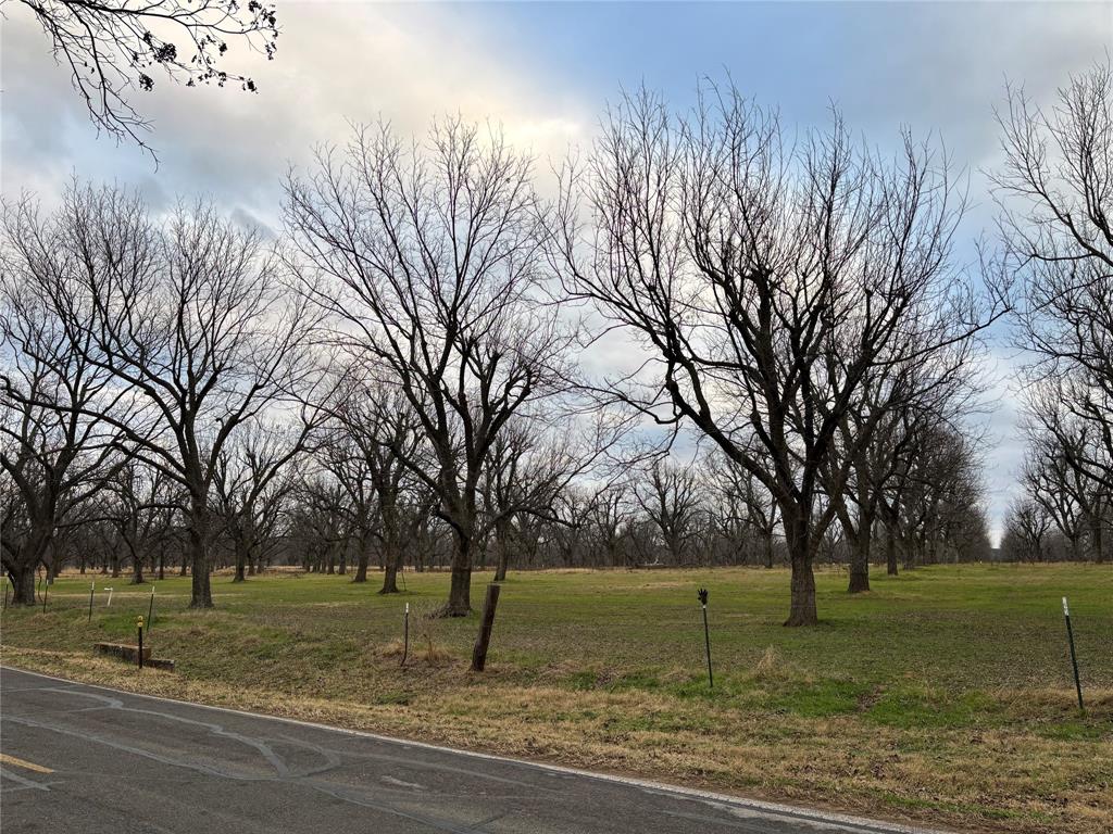 8405 Ravenswood Property Photo 10