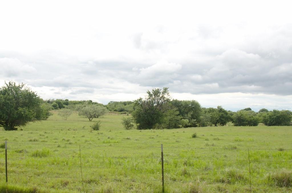 14.455 Ac Fm 406 Highway Property Photo 2