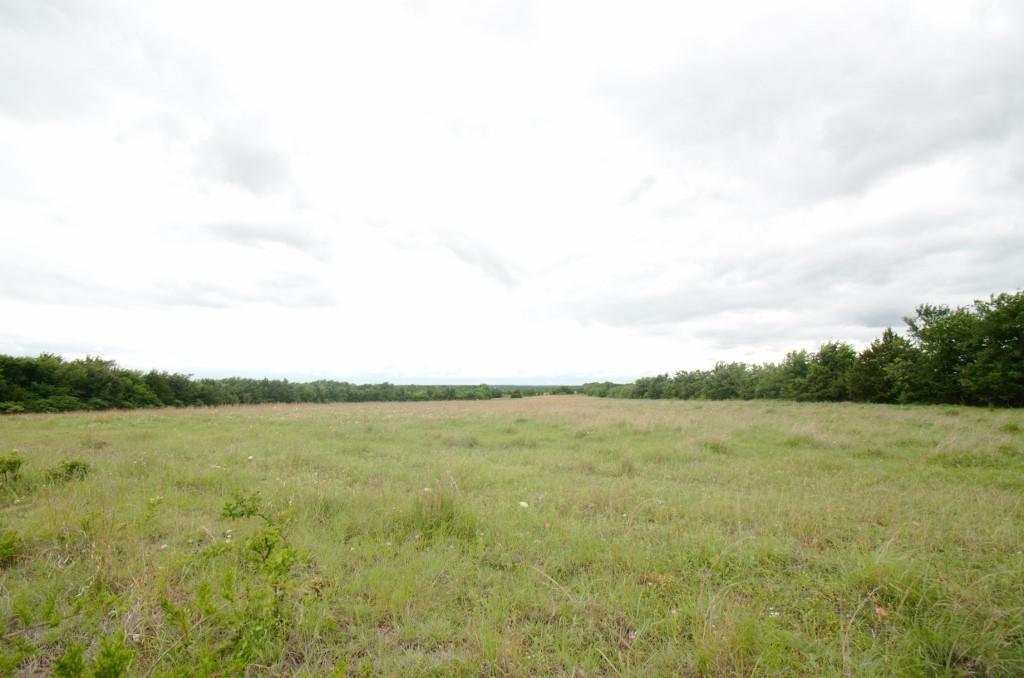 14.455 Ac Fm 406 Highway Property Photo 3