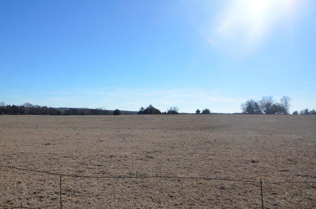 14.455 Ac Fm 406 Highway Property Photo 5