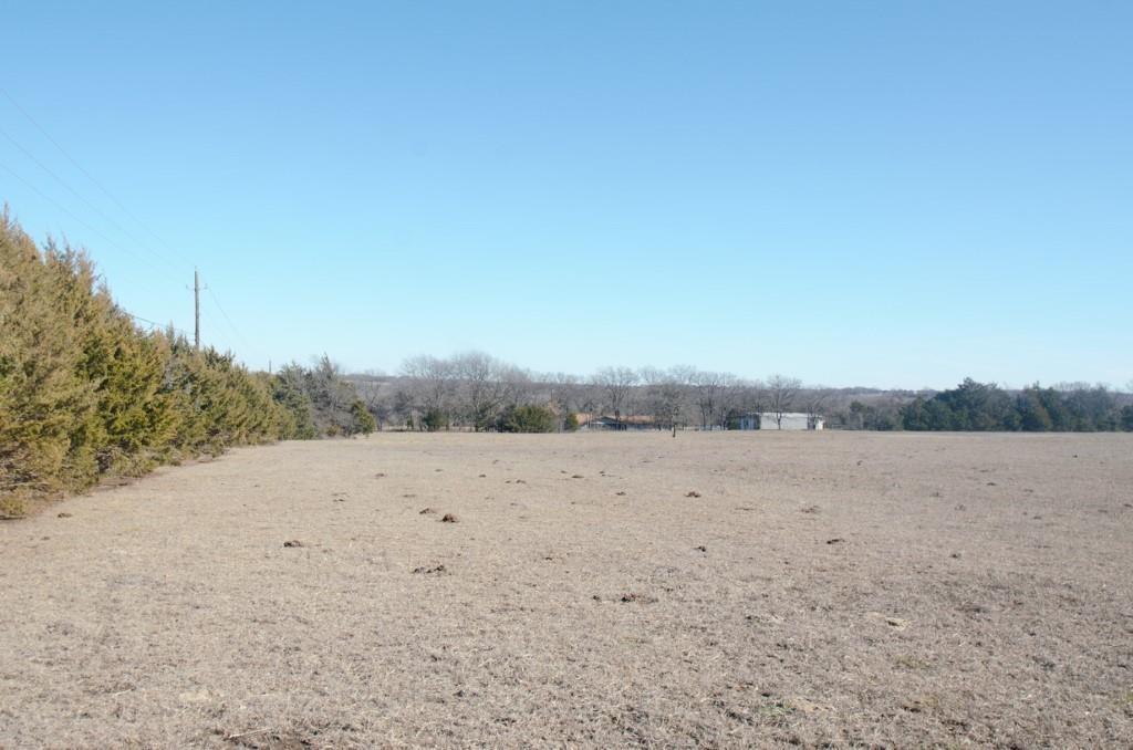 14.455 Ac Fm 406 Highway Property Photo 6