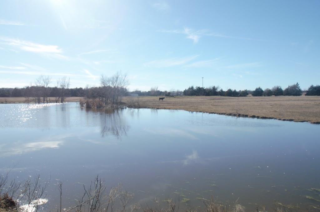 33.346 Ac Davis Forest Lane Property Photo 4