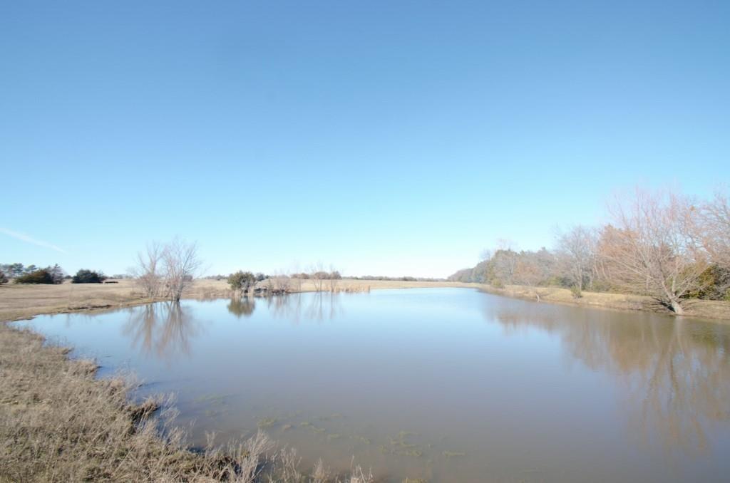 33.346 Ac Davis Forest Lane Property Photo 6