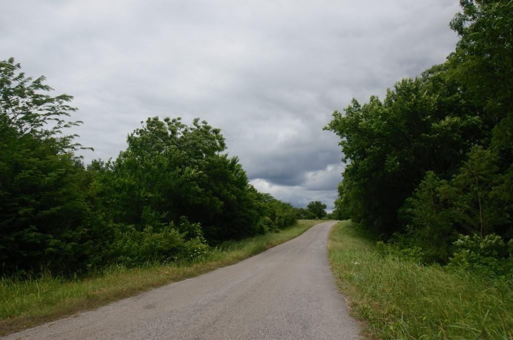 33.346 Ac Davis Forest Lane Property Photo 8