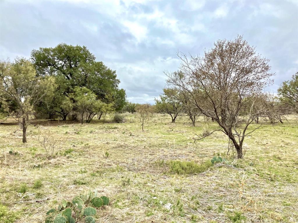 25ac Tract 3 Hwy 6 Property Photo
