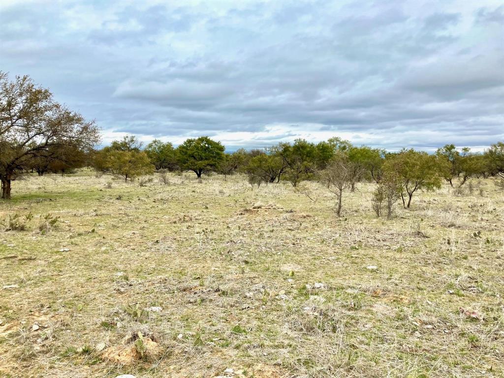 25ac Tract 4 Hwy 6 Property Photo 3