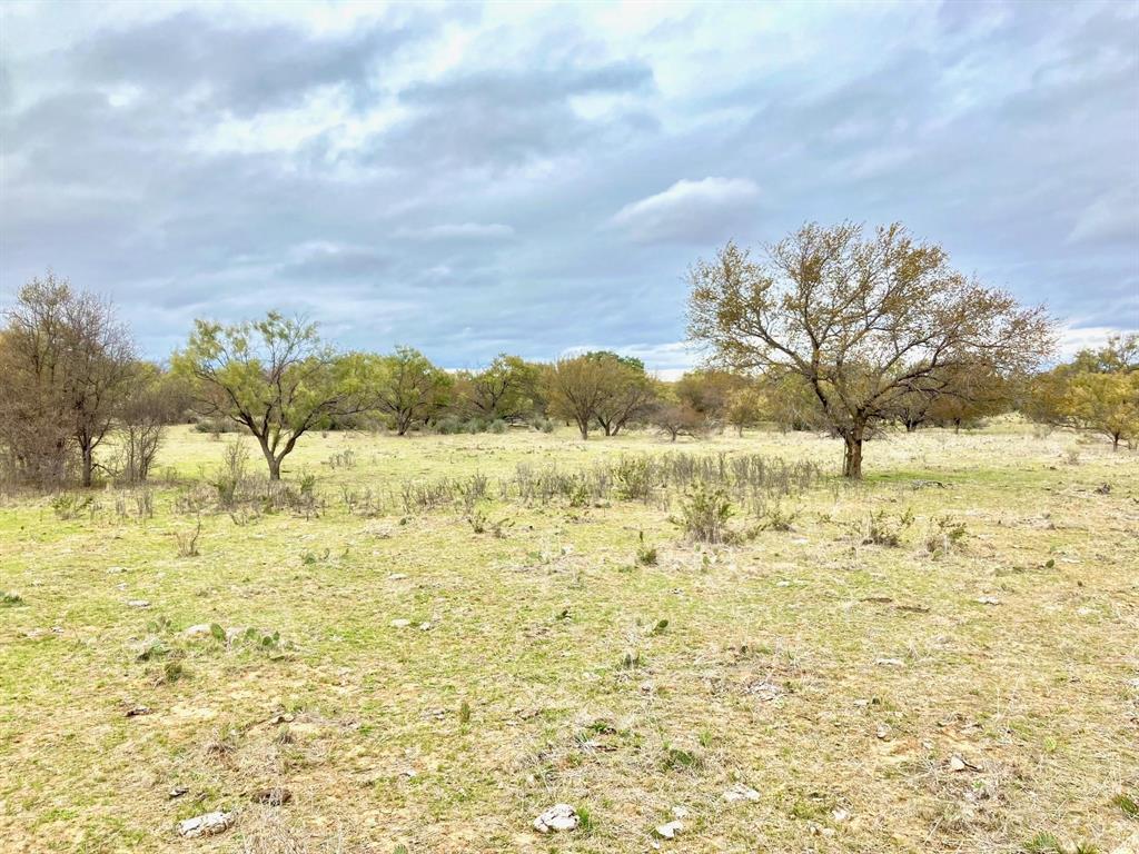 25ac Tract 4 Hwy 6 Property Photo 4