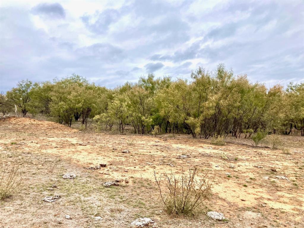 25ac Tract 4 Hwy 6 Property Photo 5