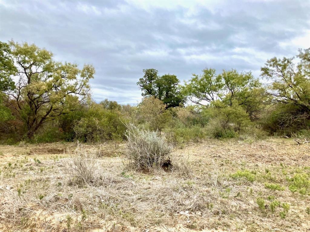 25ac Tract 4 Hwy 6 Property Photo 16