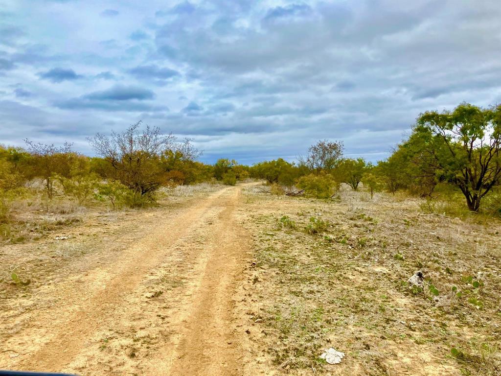 25ac Tract 4 Hwy 6 Property Photo 19