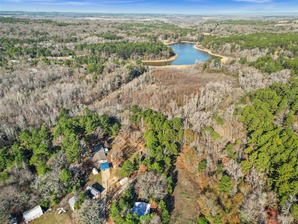 17741 County Road 431 Property Photo 1