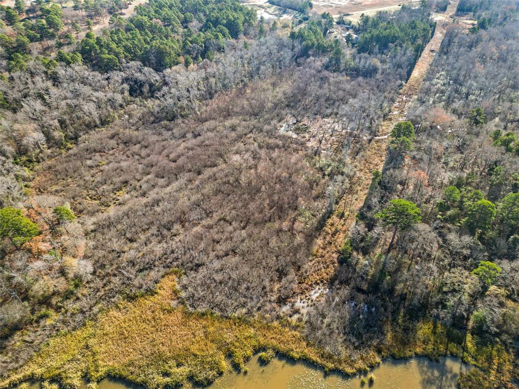 17741 County Road 431 Property Photo 9