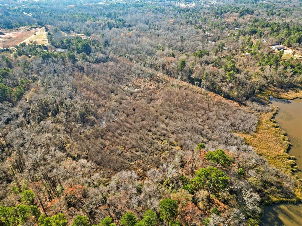 17741 County Road 431 Property Photo 10