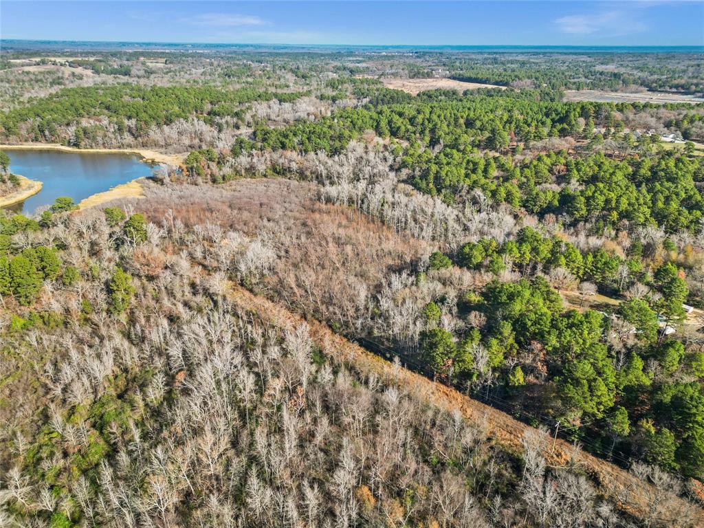 17741 County Road 431 Property Photo 11