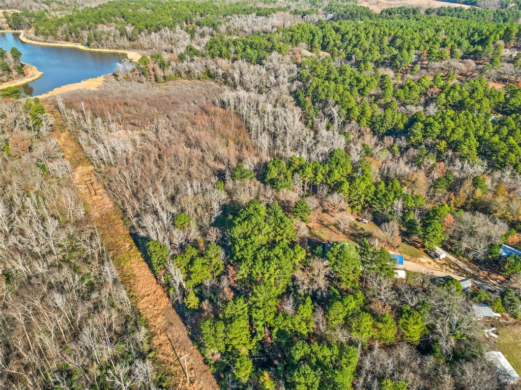 17741 County Road 431 Property Photo 12