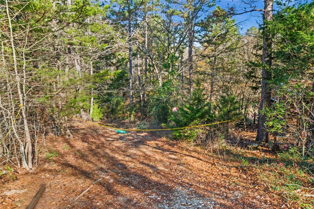 17741 County Road 431 Property Photo 14