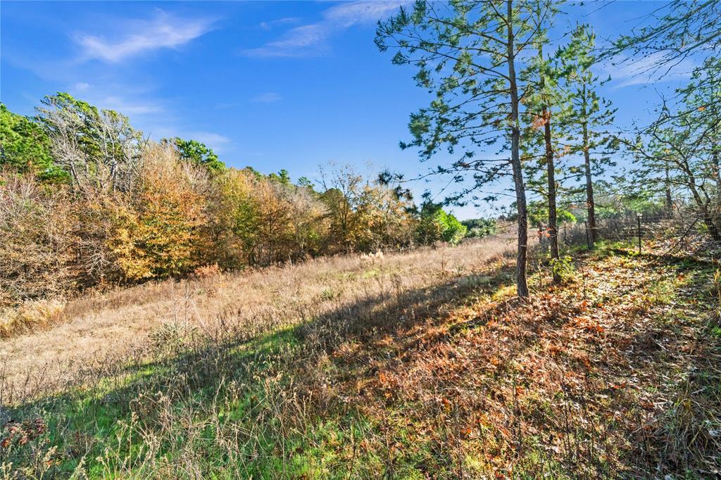 17741 County Road 431 Property Photo 15
