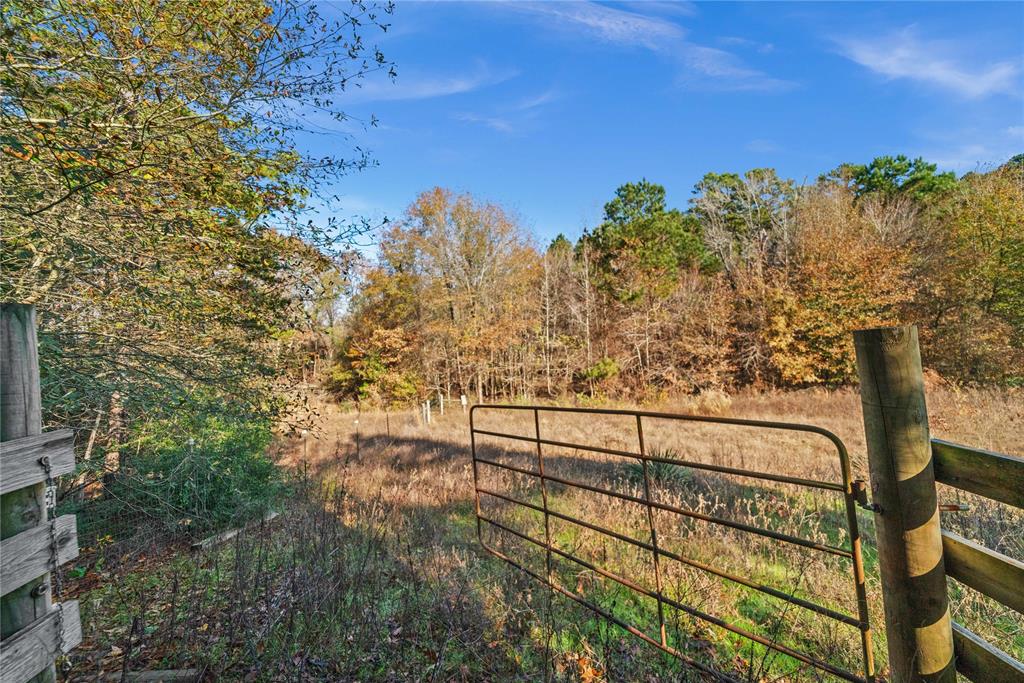 17741 County Road 431 Property Photo 16