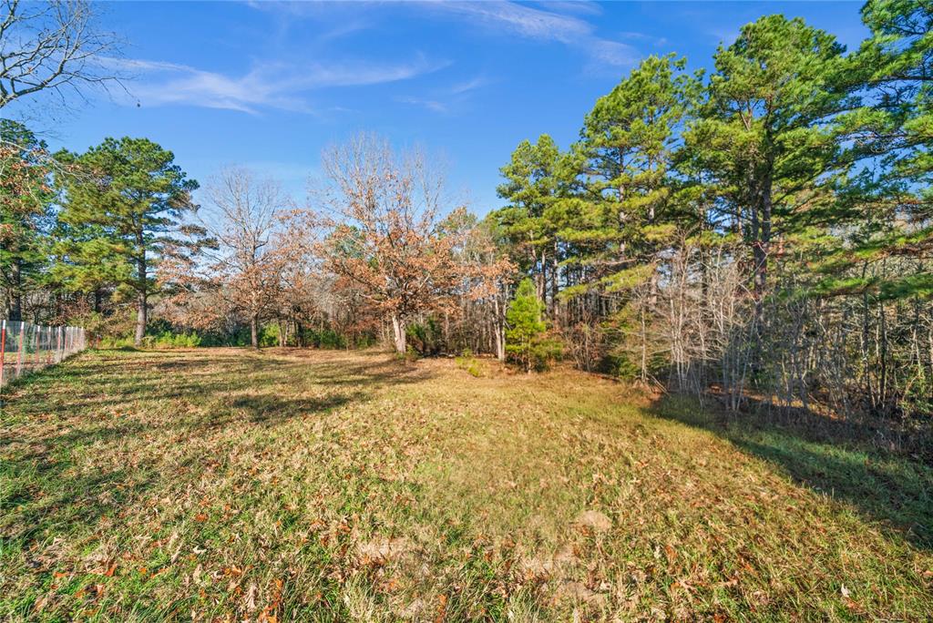 17741 County Road 431 Property Photo 17