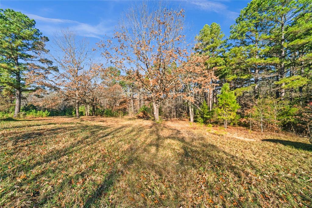 17741 County Road 431 Property Photo 18