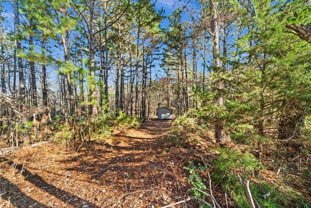 17741 County Road 431 Property Photo 19