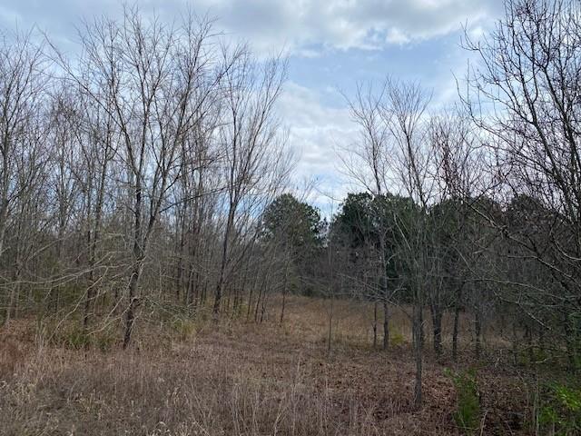 Tbd Edmondson Property Photo 2