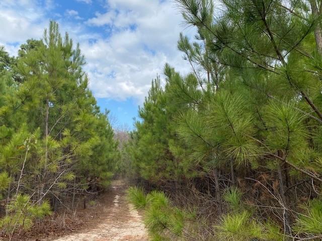Tbd Edmondson Property Photo 3
