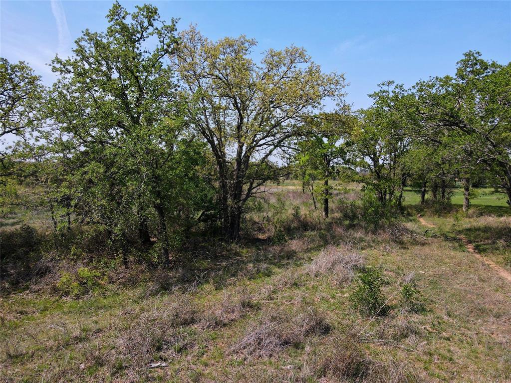Lot 47 Paradise Oaks Ranch Property Photo 5