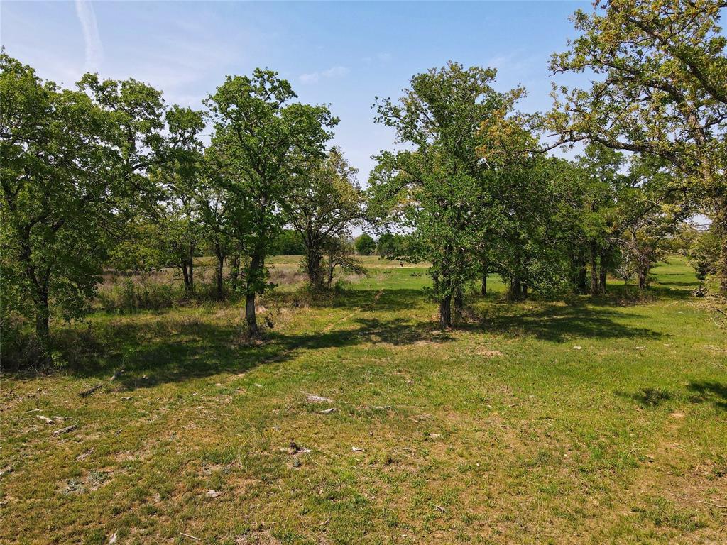 Lot 47 Paradise Oaks Ranch Property Photo 6
