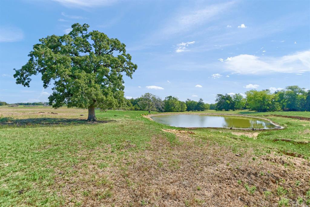 205 Farm To Market Road 373 North Property Photo 3