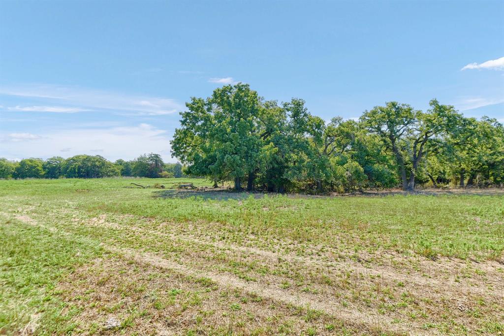 205 Farm To Market Road 373 North Property Photo 5