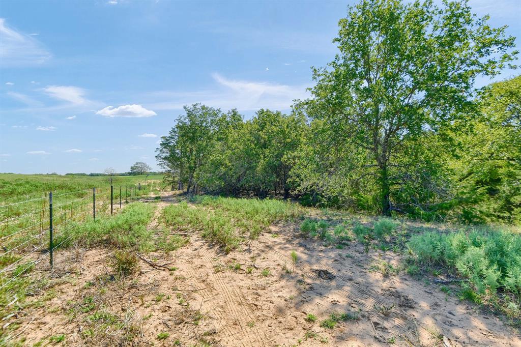 205 Farm To Market Road 373 North Property Photo 9