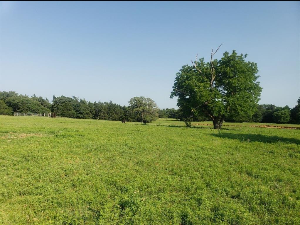 205 Farm To Market Road 373 North Property Photo 22