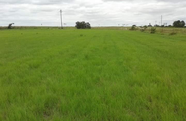 205 Farm To Market Road 373 North Property Photo 23