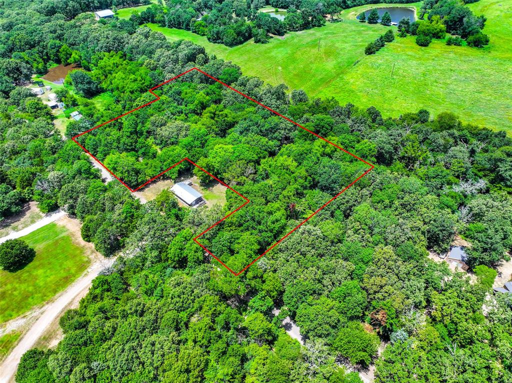 Tbd County Road 1190 Property Photo 4