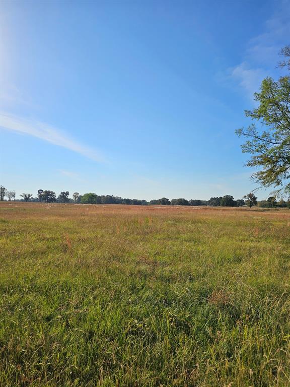 Lot 20 Cr 3250 Property Photo 2