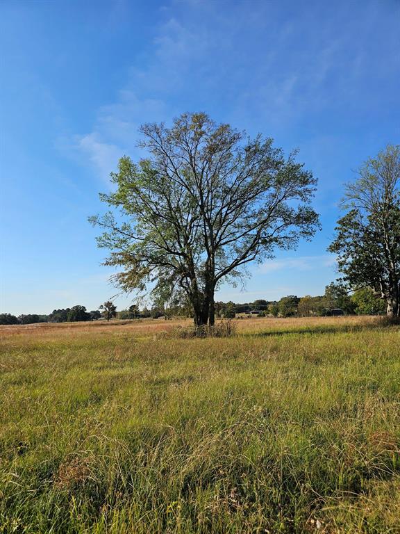 Lot 20 Cr 3250 Property Photo 3