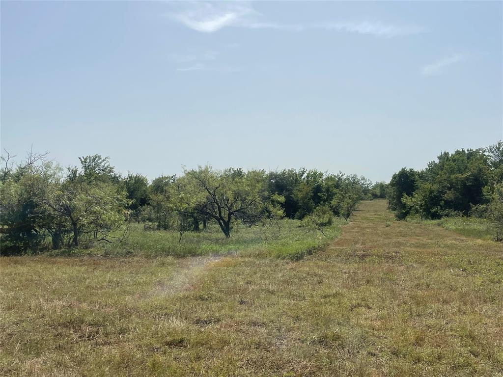Tbd Lot 9 Fm 339 Property Photo 8
