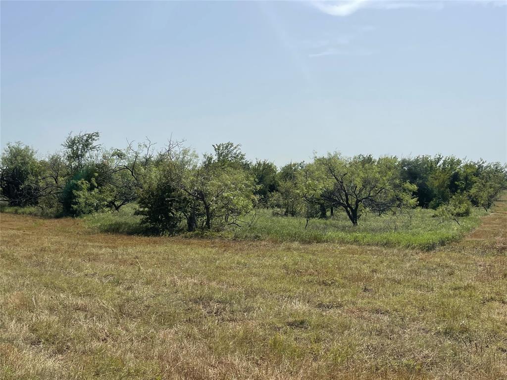 Tbd Lot 9 Fm 339 Property Photo 11