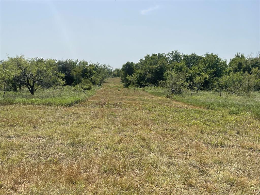 Tbd Lot 9 Fm 339 Property Photo 12
