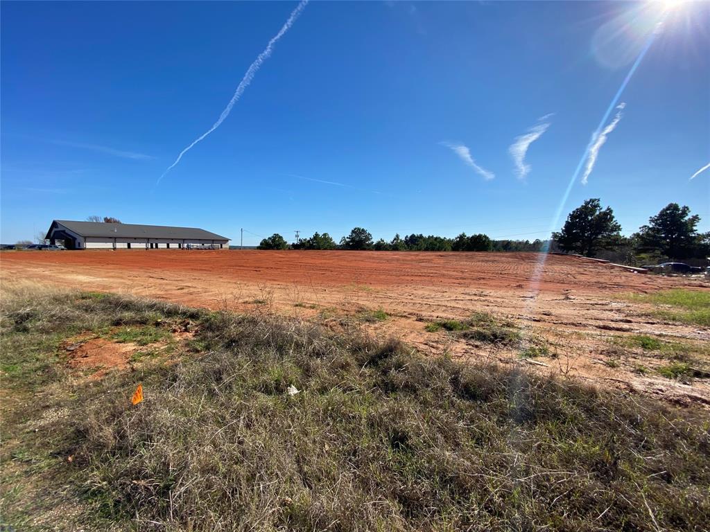 2256 Blue Mountain Boulevard Property Photo 2