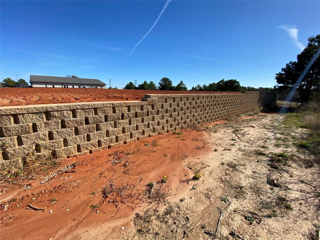 2256 Blue Mountain Boulevard Property Photo 4