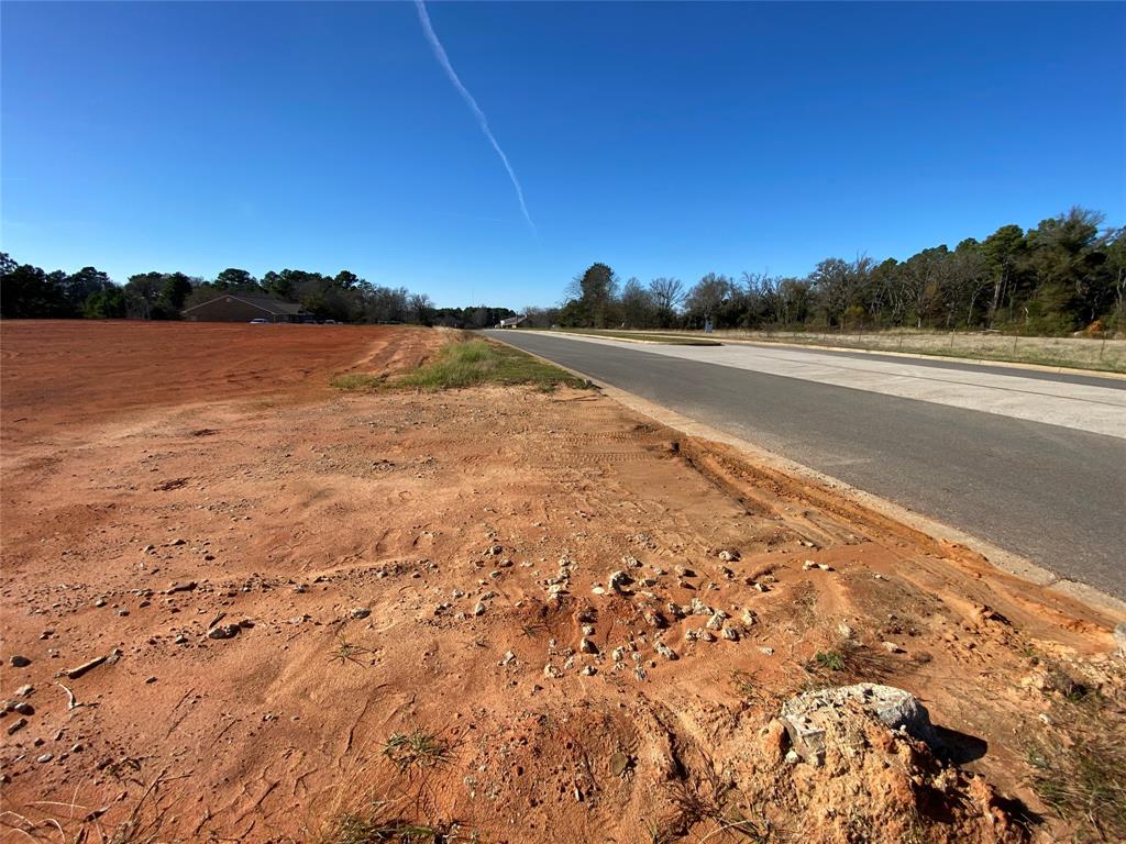 2256 Blue Mountain Boulevard Property Photo 6