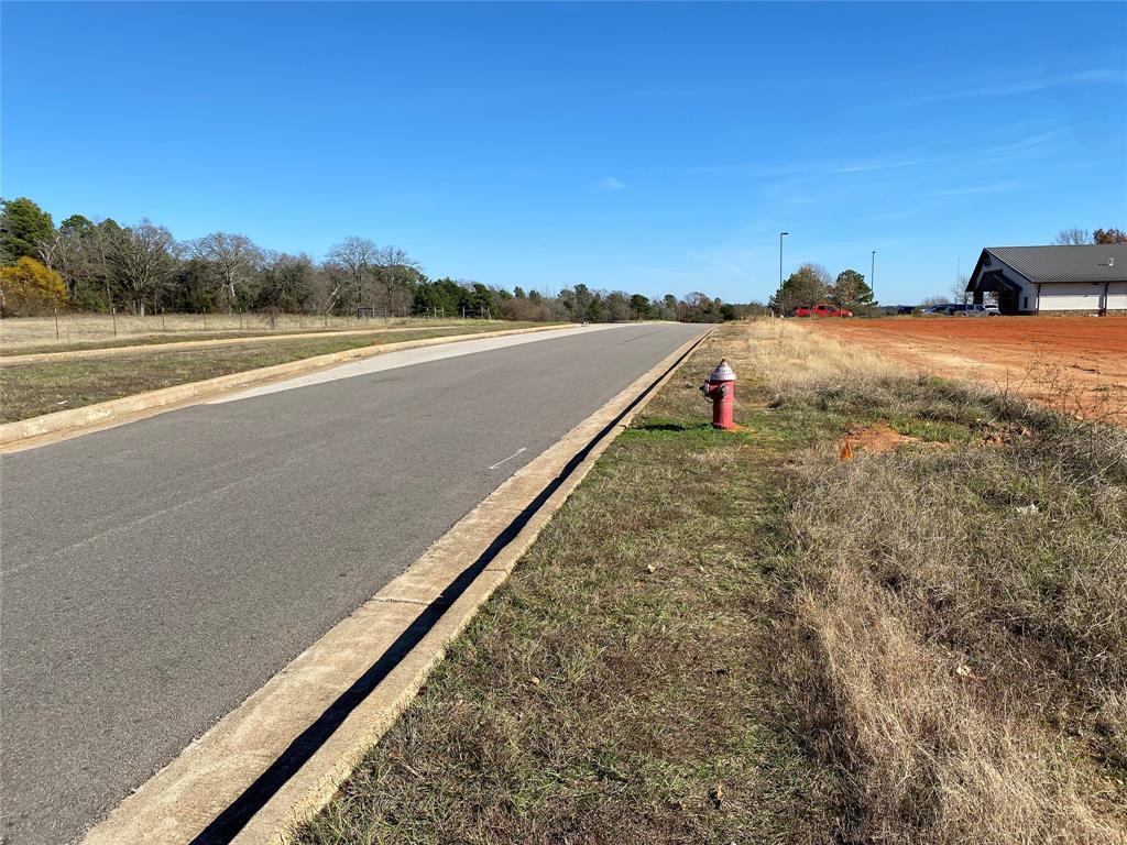 2256 Blue Mountain Boulevard Property Photo 7