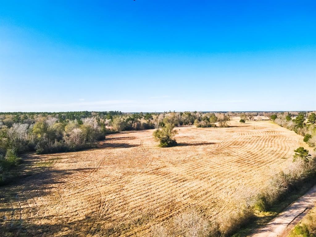 Apple Springs Real Estate Listings Main Image