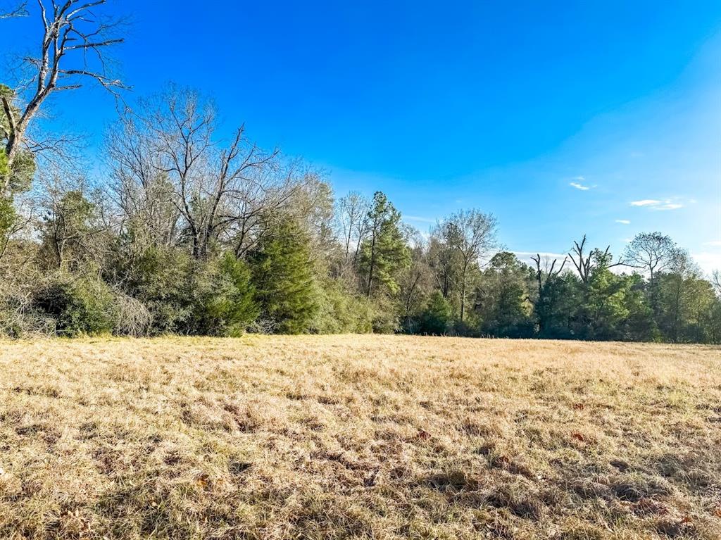 1085 Duke Road Property Photo 3